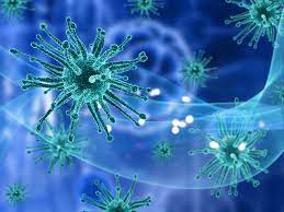 Осторожно - Туляремия